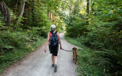A Guide to Dog Walking Safety