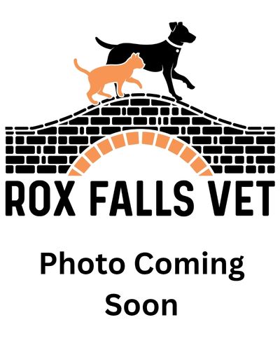 Photo coming soon